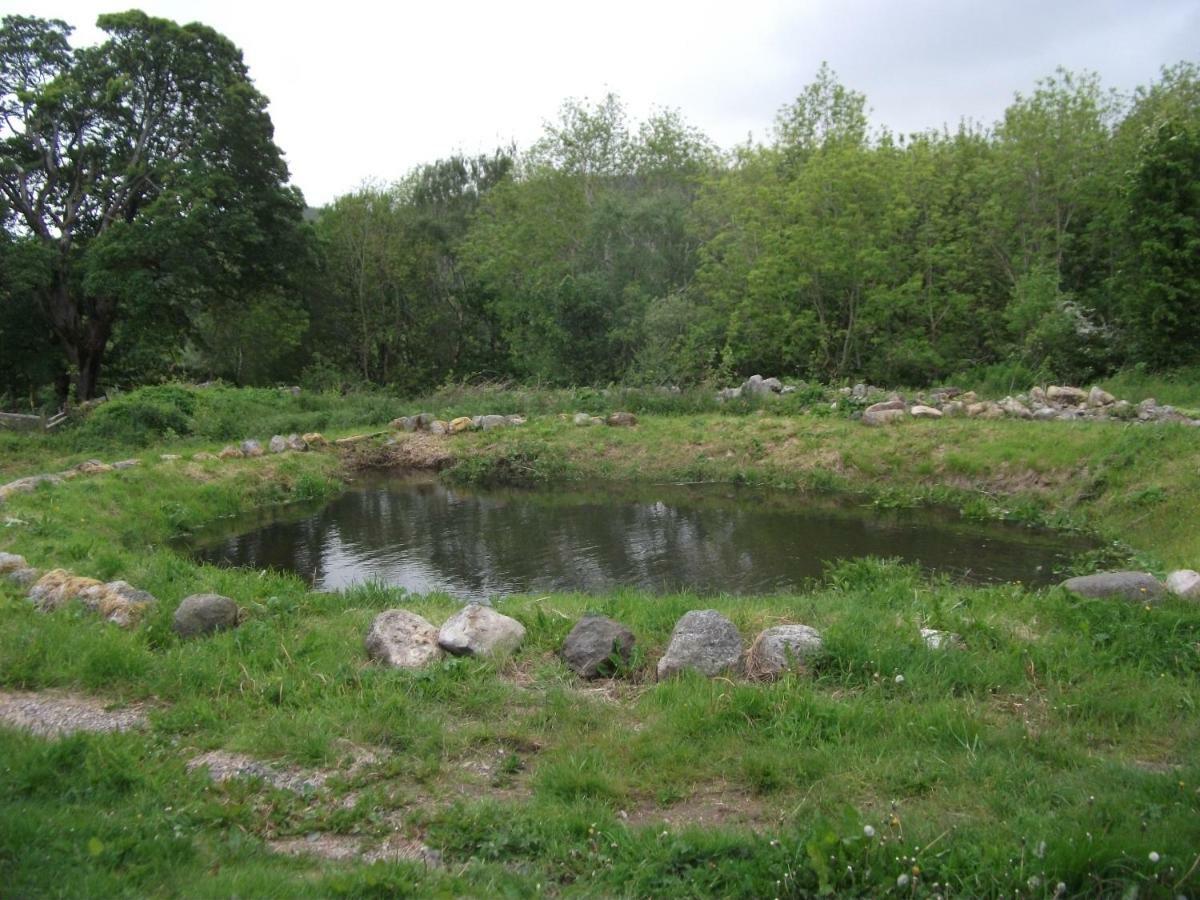 Cosy Ground Floor Disabled Friendly Room In Farm House Llandderfel Exterior foto